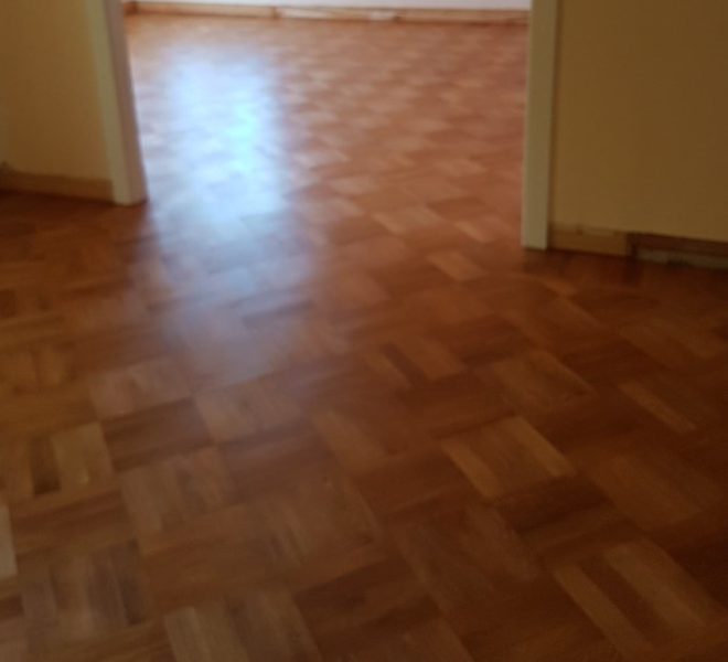 morkpigmenterad fiskben 2